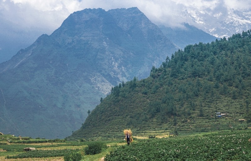 farmland near Narchyang, Nepal