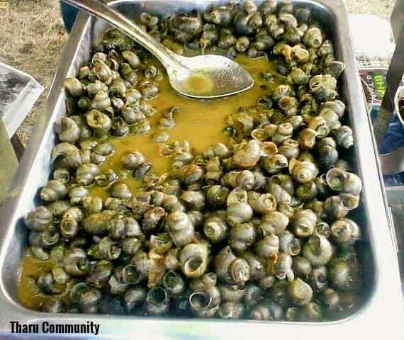 traditional Ghoghi