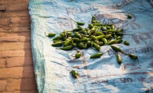 Food: A Perfect Window for Understanding Nepali Communities
