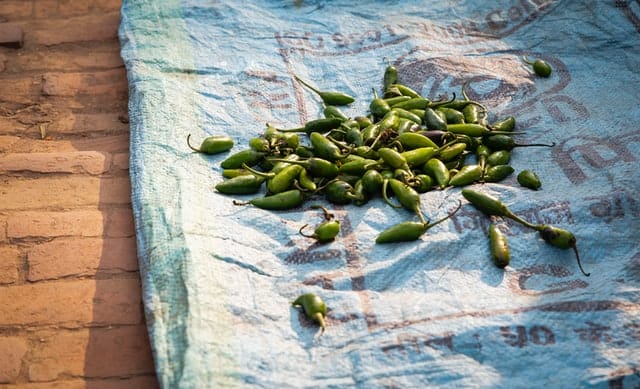 Food: A Perfect Window for Understanding Nepali Communities
