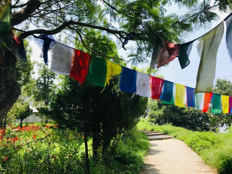 prayer flags on nagi gompa hike