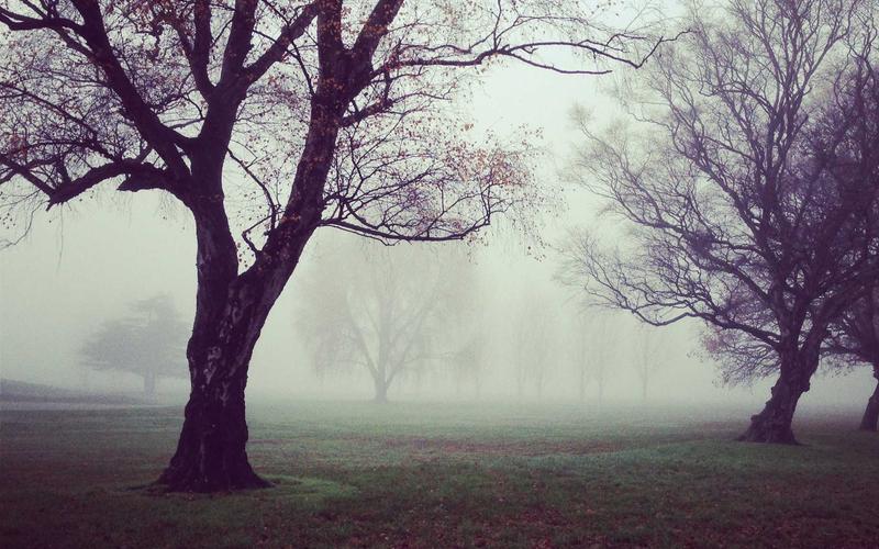 Manaslu Circuit Trek