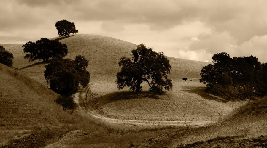 Best Time to Visit Nepal: A Month-by-Month Guide