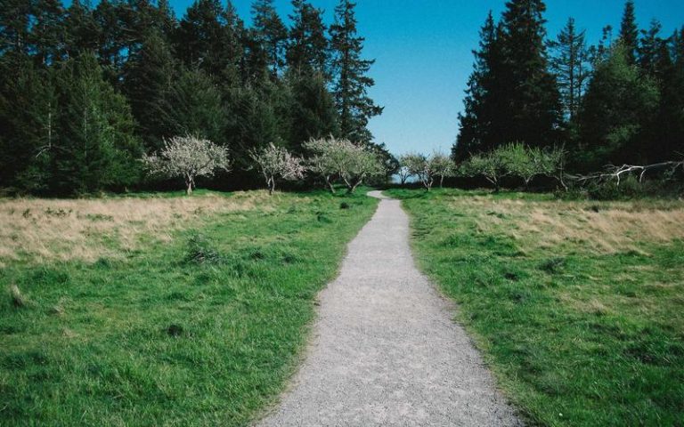 Toyota Hiace — Tourist Van
