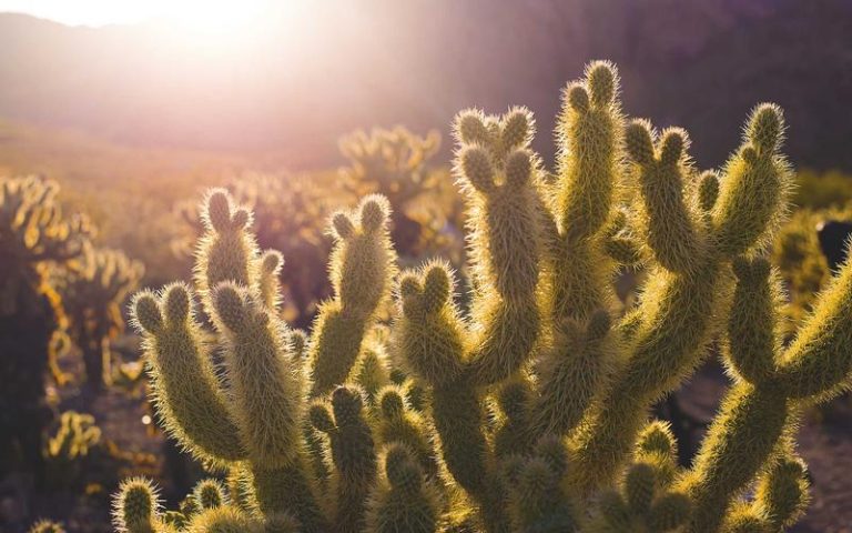 Pokhara Luxury Trek & Spa