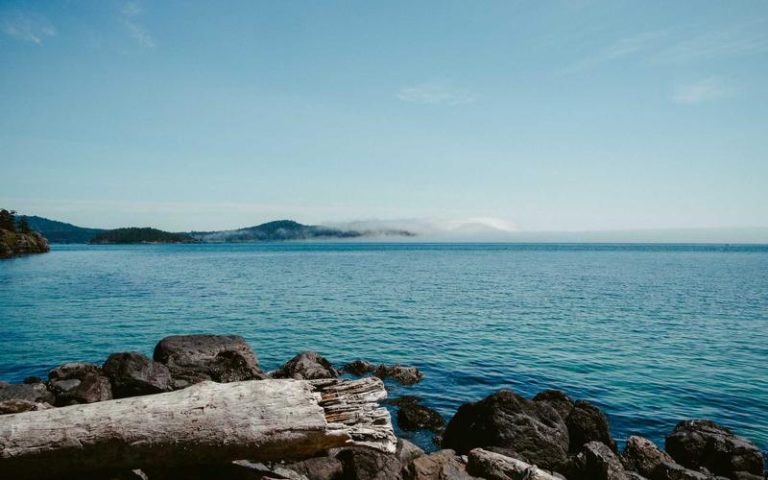 Night Street Food Tour Thamel