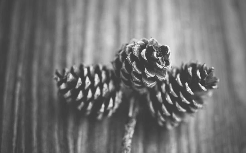 Himalayan Yoga & Meditation Retreat