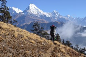 Life on a Himalayan Trek: What It Really Feels Like