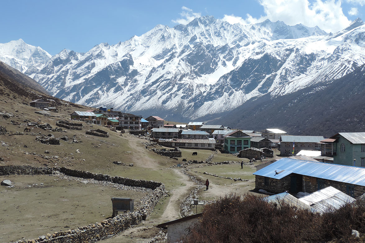 Langtang Valley Trek with Culture, Comfort & Community